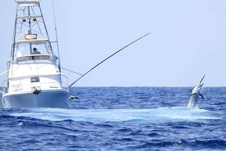 OBX Fishing Charters