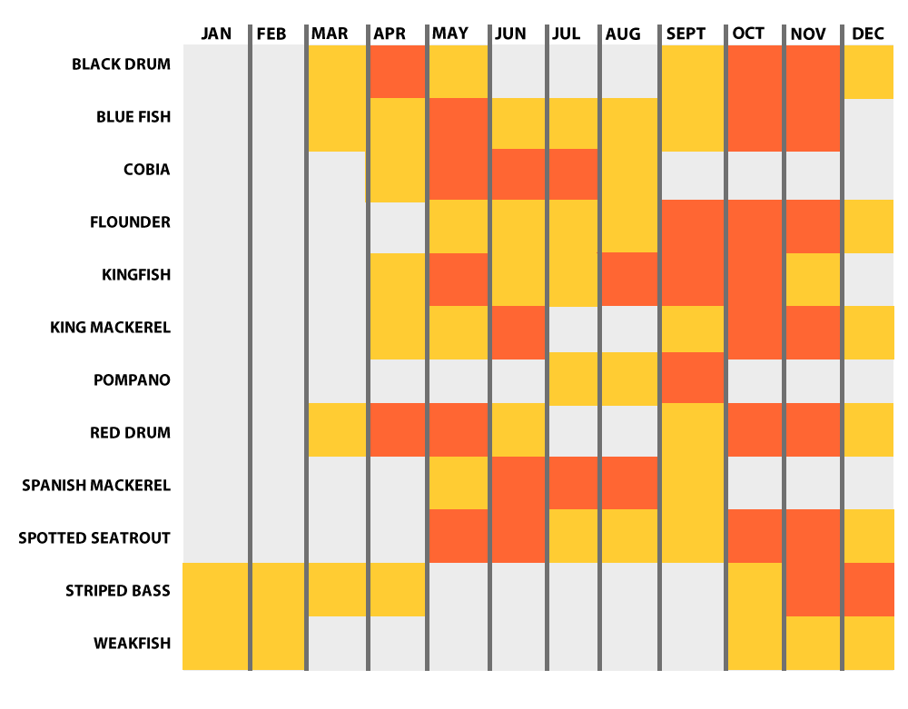 Season Surf and Pier Fishing Chart